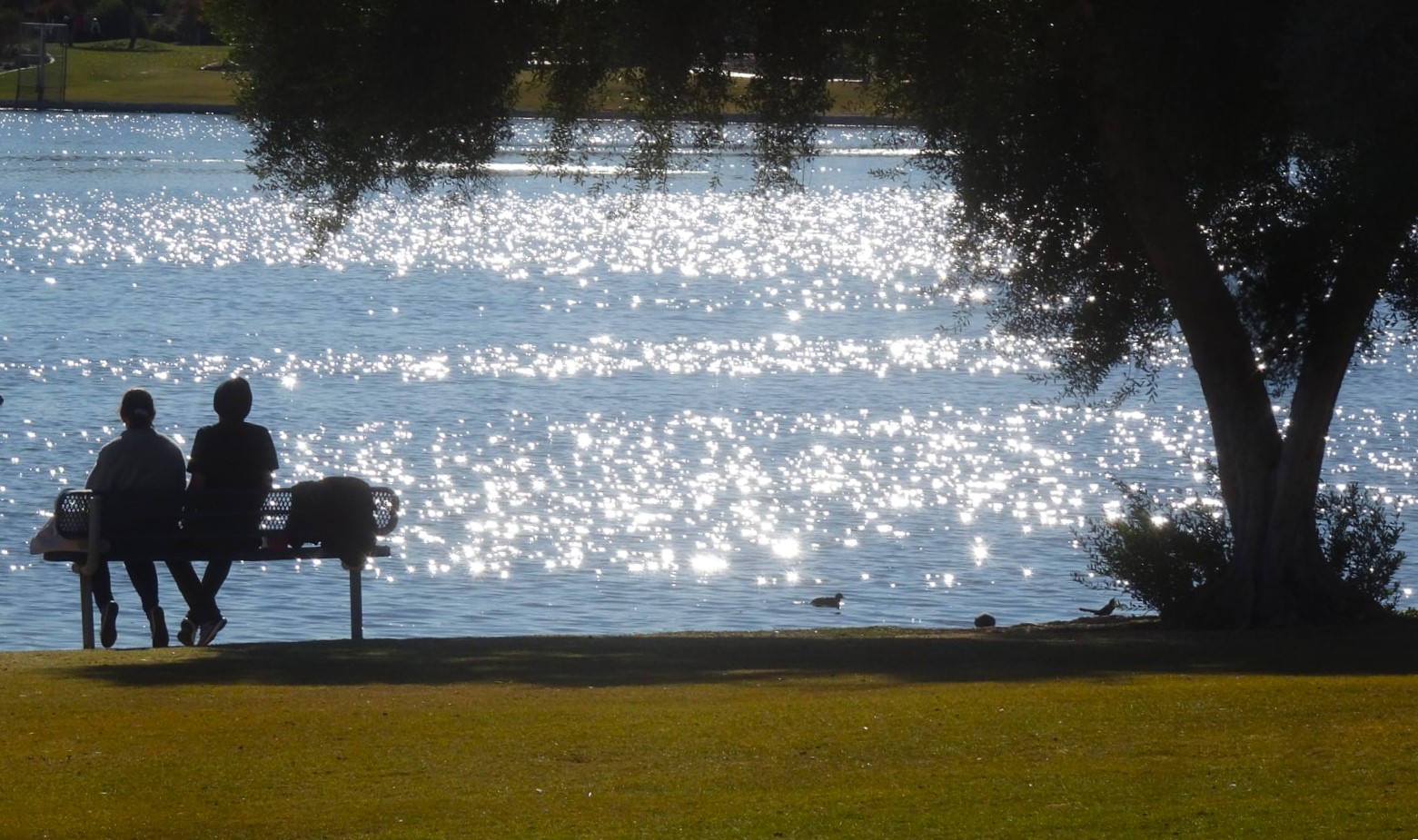 Fountain Lake