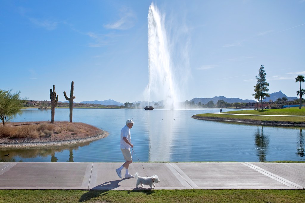 man walking dog by fountain flickr