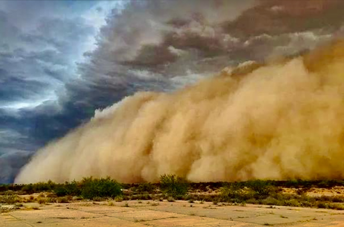 The Dust Up
