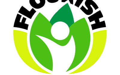 Flourish  Forum – Always use Feature Images