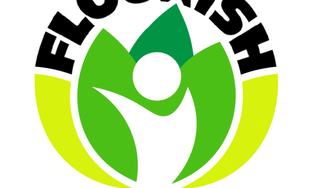 Flourish  Forum – Always use Feature Images