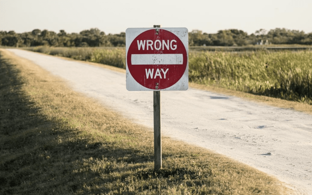We Took the Wrong Road. Can We Find Our Way Back?