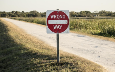 We Took the Wrong Road. Can We Find Our Way Back?